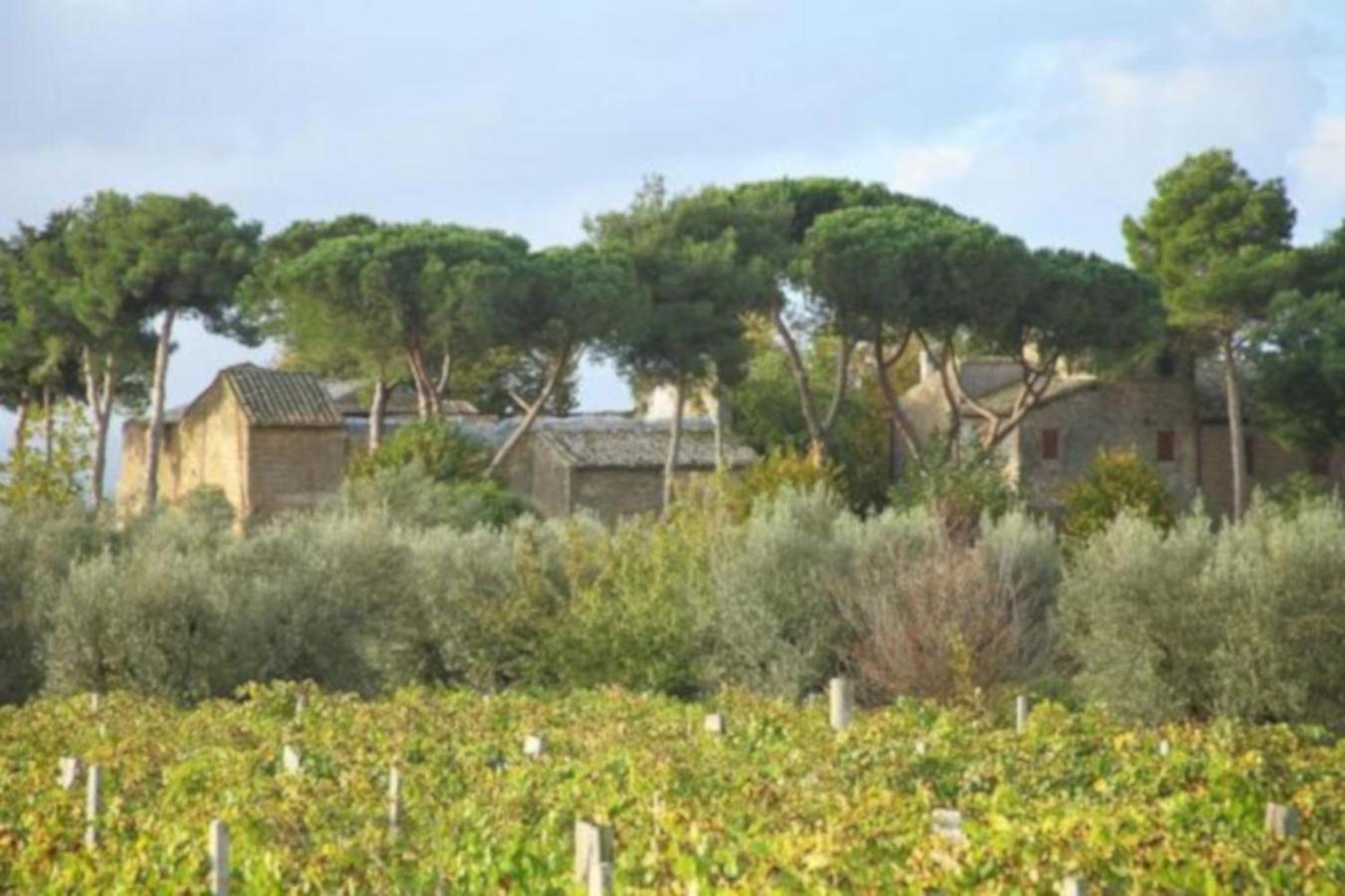Antico Borgo La Commenda Aparthotel Montefiascone Exterior photo